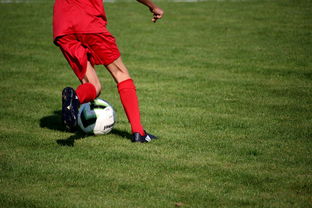 爱游戏下载-篮球运动员心理素质测评体系构建，篮球运动员心理素质的重要性