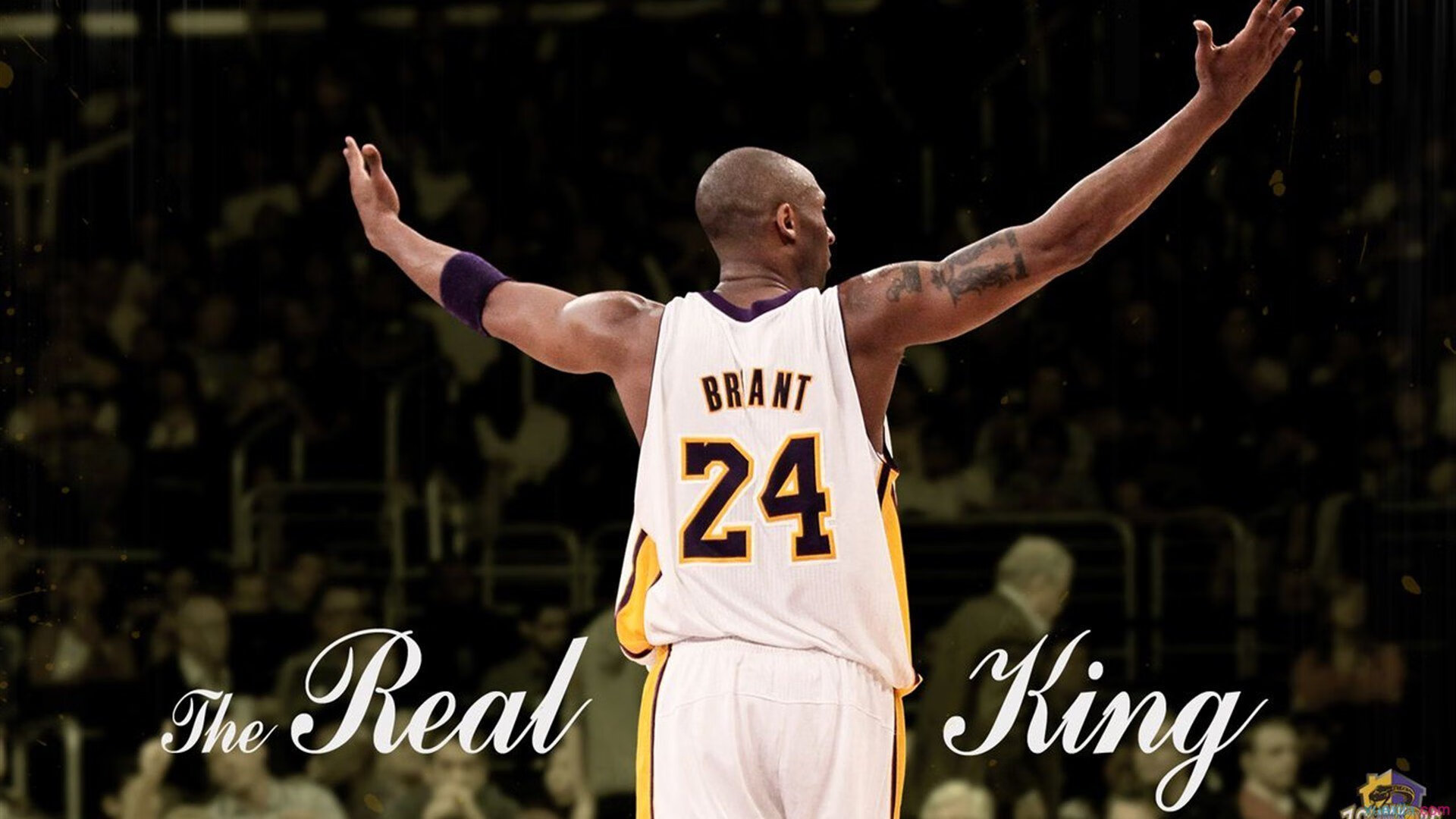 城市夜间篮球赛成为新时尚,展现年轻活力与城市魅力,关于夜间篮球场的环境描写